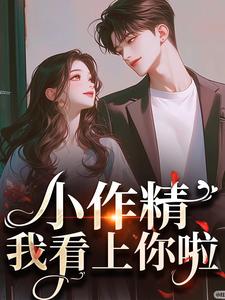 昭禾沉向晚小说免费阅读完整版