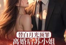 求替白月光顶罪,离婚后苏小姐惊艳全球小说的全文免费阅读链接-有文学