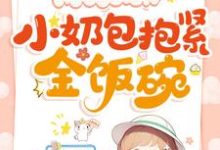 爸爸嫁入豪门，小奶包抱紧金饭碗完整版小说，爸爸嫁入豪门，小奶包抱紧金饭碗最新章节-有文学