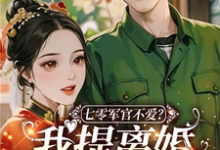 七零军官不爱？我提离婚他就发癫小说无弹窗阅读的网站推荐-有文学