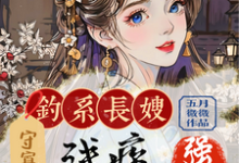 求钓系长嫂守寡后，残疾小叔子强宠小说的全文免费阅读链接-有文学