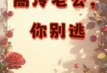 完整版小说《高冷老公，你别逃》免费阅读-有文学