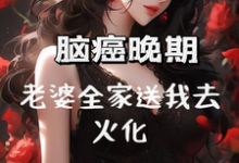 脑癌晚期，老婆全家送我去火化完整版小说免费阅读，脑癌晚期，老婆全家送我去火化小说-有文学