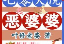 《七零大院恶婆婆》陈素问周青云小说免费阅读完整版-有文学