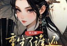 别太颠，重生了谁还给你当平妻苏云昭，别太颠，重生了谁还给你当平妻小说免费阅读-有文学