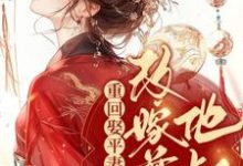 重回娶平妻当天，我转身改嫁前夫他叔江凝晚，重回娶平妻当天，我转身改嫁前夫他叔章节在线阅读-有文学