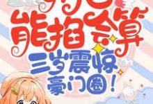 奶包能掐会算，三岁震惊豪门圈免费阅读，奶包能掐会算，三岁震惊豪门圈云然然-有文学