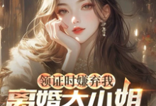 领证时嫌弃我，离婚大小姐哭什么这本小说怎么样？免费在线阅读试试-有文学