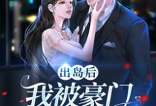 完结版《出岛后，我被豪门千金破了功》章节阅读-有文学