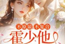 苏眠霍北寒小说叫什么(不原谅,不复合,霍少他觊觎我完整版免费阅读)-有文学