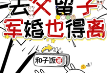 穿七零去父留子，军婚也得离苏璃萧衍珩小说在线章节免费阅读-有文学