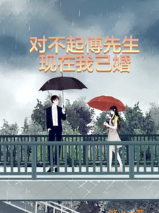 对不起，傅先生我现在已婚小说的无弹窗阅读体验，寻找免费阅读网站