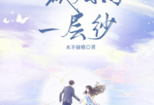 一城烟雨一层纱小说的免费阅读版本在哪里可以找到?-有文学