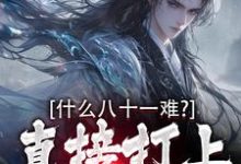 什么八十一难?直接打上凌霄宝殿哪吒孙悟空小说完结版章节在线阅读-有文学