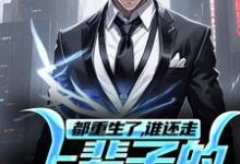 都重生了,谁还走上辈子的老路呢?林川,都重生了,谁还走上辈子的老路呢?在线无弹窗阅读-有文学