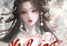 完结版《小哭包不追了，腹黑权臣悔断肠》章节目录在线阅读-有文学