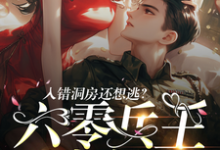 入错洞房还想逃？六零兵王被拿捏这本小说在哪里可以看？哪里有免费试读章节？-有文学