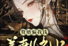 已完结小说《赘婿骗我钱养妻儿老小，弄死！》最新章节-有文学