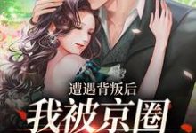 遭遇背叛后,我被京圈大佬捡回家小说的无弹窗阅读体验,寻找免费阅读网站-有文学