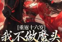 重返十六岁,我不做魔头改修仙了晏琅,重返十六岁,我不做魔头改修仙了完整版最新章节-有文学