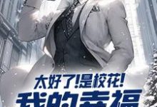 太好了！是校花！我的幸福有救了小说完结版章节免费阅读-有文学