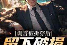 《谎言被拆穿后,留下破损的婚姻》张齐赵雪小说免费阅读完整版-有文学