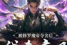 宁川小说完结版在线阅读，被修罗魔帝夺舍后，我杀疯了免费看-有文学