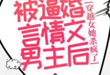 沈毓灵权明赫小说完整版《被逼婚言情文男主后,穿越女她杀疯了》免费阅读-有文学
