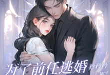 《为了前任逃婚？她绝不原谅》安澜沈风致完整版小说免费阅读-有文学