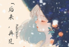 完结版《后来，再见》在线免费阅读-有文学