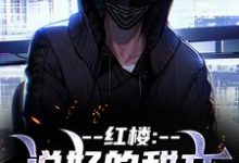 小说《红楼：说好的甜文咋变恐怖文了》完整版在线章节免费阅读-有文学