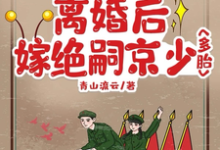 完结版《七零大院：离婚后嫁绝嗣京少多胎》在线免费阅读-有文学