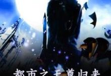哪里可以免费找到都市之天尊归来？-有文学