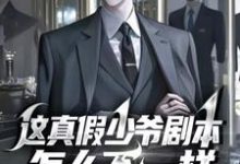 这真假少爷剧本怎么不一样小说完结版章节免费阅读-有文学