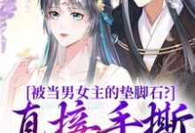 完结版《被当男女主的垫脚石？直接手撕剧本》章节阅读-有文学
