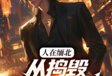 完结版《人在缅北，从捣毁科技园开始》章节阅读-有文学