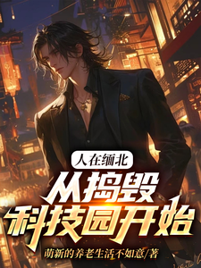 完结版《人在缅北，从捣毁科技园开始》章节阅读