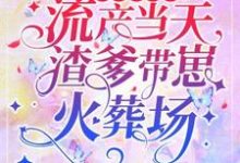 云枝小说《先救白月光?流产当天渣爹带崽火葬场》完整版免费阅读-有文学