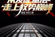 官梯:从发配基层走上权势巅峰杨飞方婷在线章节免费阅读-有文学