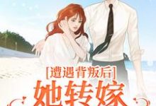 遭遇背叛后，她转嫁大佬赢麻了小说有没有完结版在线？-有文学