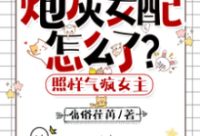 《炮灰女配怎么了？照样气疯女主》小说大结局免费试读 叶希玥小说-有文学