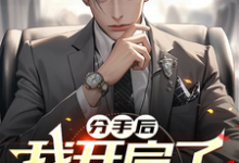 《分手后,我开启了无敌之路》全集免费在线阅读(林小安)-有文学