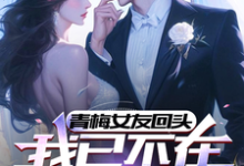 小说《青梅女友回头，我已不在原地等她》完整版在线章节免费阅读-有文学