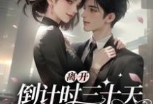 离开倒计时三十天,傅总破防了小说,离开倒计时三十天,傅总破防了在线阅读-有文学