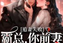 小说《婚内越轨!我高嫁京圈前夫急疯了》完整版章节免费阅读-有文学