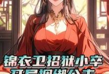 锦衣卫招狱小卒，开局捆绑公主陆锋，锦衣卫招狱小卒，开局捆绑公主章节在线阅读-有文学