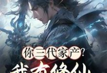 《你三代家产？我有修仙小世界资源》小说免费阅读完整版-有文学