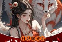 日记曝光后我被四个侯爷盯上了免费阅读，日记曝光后我被四个侯爷盯上了李意欢-有文学