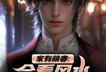 家有萌妻:会看风水还会看面相!安阳柴小月在线章节免费阅读-有文学