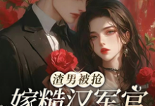 渣男被抢，嫁糙汉军官养崽躺赢完整版小说免费阅读，渣男被抢，嫁糙汉军官养崽躺赢小说-有文学